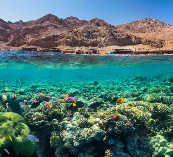 Blue Hole, underwater beauty