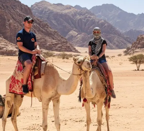 Camel ride at golden hour in Sharm El Sheikh's 5-in-1 super safari: tourists on camels crossing the vast Sinai desert with mountains behind.