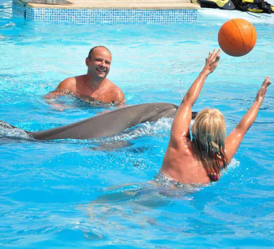 couple playing basketball with dolphins at sharm blue excursions