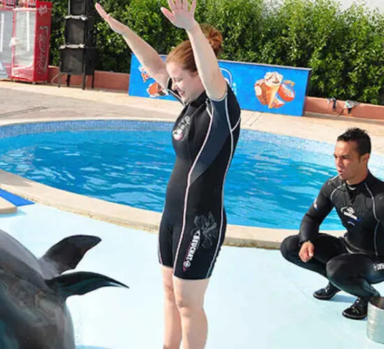 getting ready to swim with dolphin at sharm blue excursions
