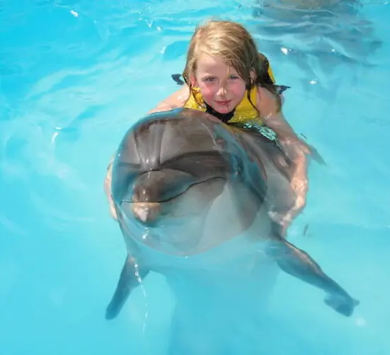 girl on back of the dolphin at sharm blue excursions