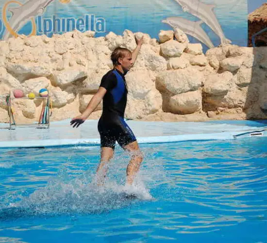 instructor riding the dolphin atsharm blue excursions