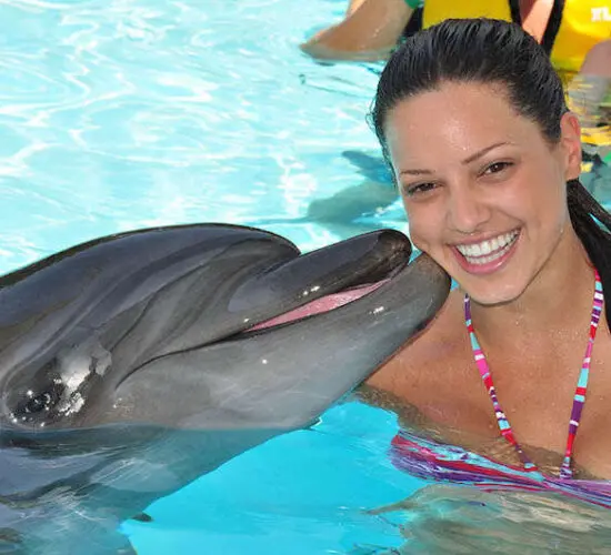 kissing the dolphin at sharm blue excursions