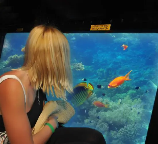 Inside the semi-submarine in Sharm El Sheikh: guests enjoying panoramic underwater views of Red Sea coral reefs and fish through large glass windows.