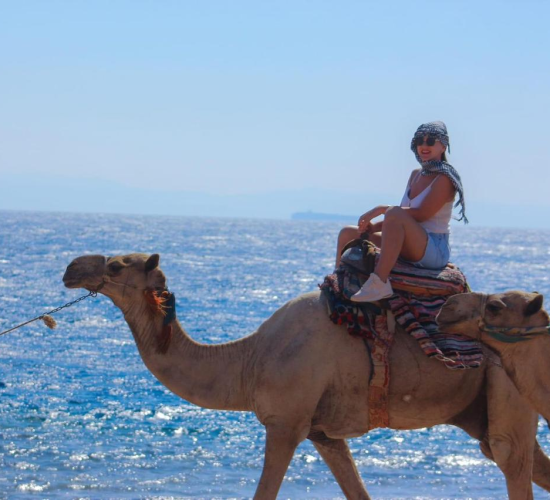 PHOTO 2024 12 31 13 53 00 17