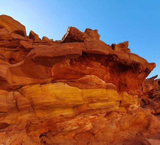 Sinai nature at the Red Canyon