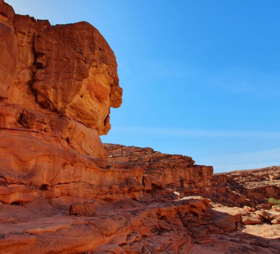 The Red Canyon, nature and adventure