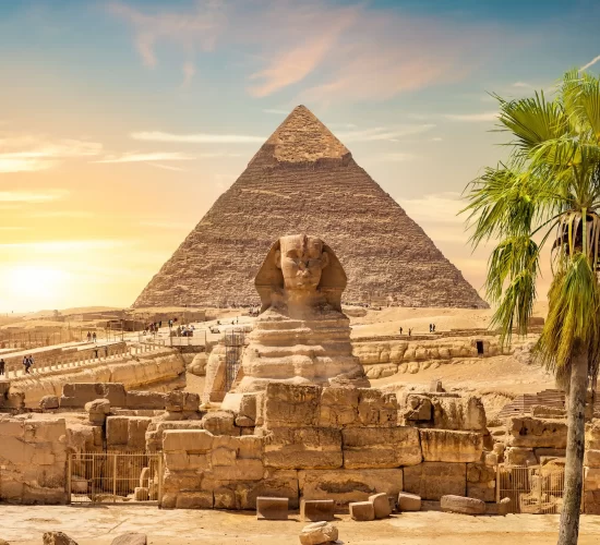 a lonely tree with the sphinx and pyramids of giza sharm blue excursions