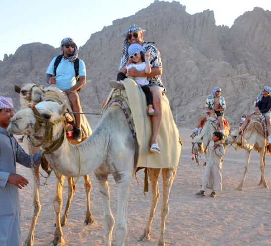 Guest enjoying a peaceful camel ride through Sharm El Sheikh's golden Sinai desert at sunset, with rugged mountains in the background.